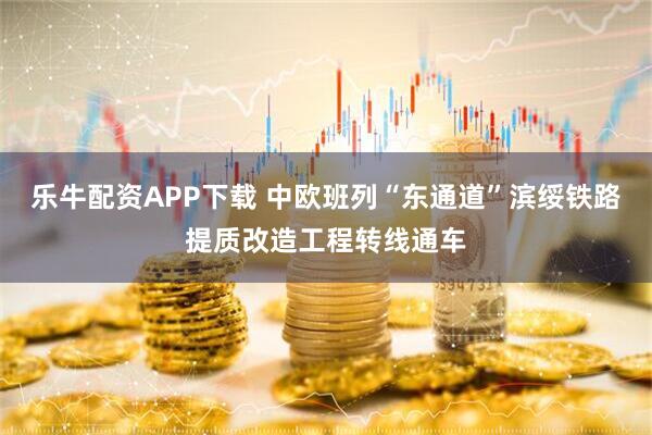 乐牛配资APP下载 中欧班列“东通道”滨绥铁路提质改造工程转线通车