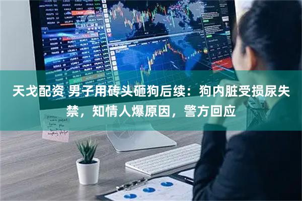 天戈配资 男子用砖头砸狗后续:狗内脏受损尿失禁,知情人爆原因,警方回应